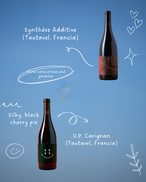 Cata maridaje de vino natural con queso francés