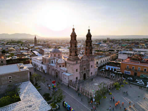 Aguascalientes: La Ruta del Vino que Tienes que Descubrir