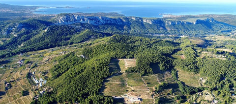 France’s Best-Kept Wine Secret: Bandol and Cassis