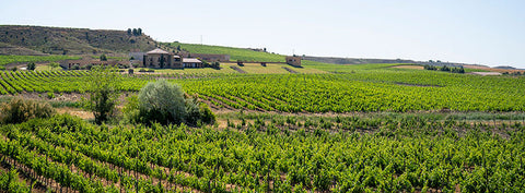 Navarra: Tierra de Vinos con Historia, Arte y Autenticidad