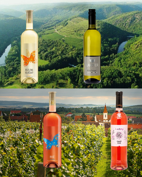 Cata de Vinos: Vinos de la República Checa 🇨🇿