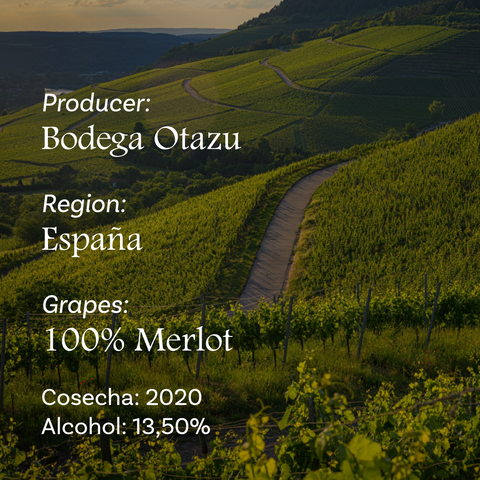 Otazu Rosado Merlot
