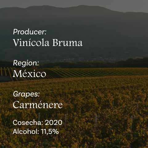 Vino Rosado Bruma Plan B Rose