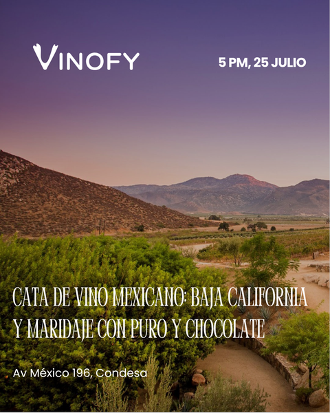 Cata de Vino Mexicano: Baja California y Maridaje con Puro y Chocolate