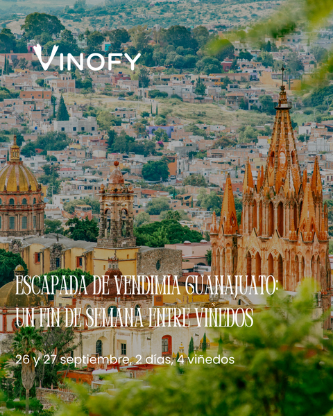 Escapada de Vendimia Guanajuato: Un Fin de Semana Entre Viñedos