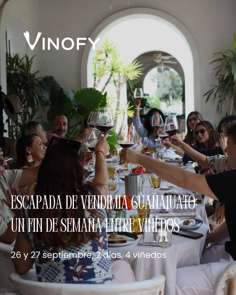 Escapada de Vendimia Guanajuato: Un Fin de Semana Entre Viñedos