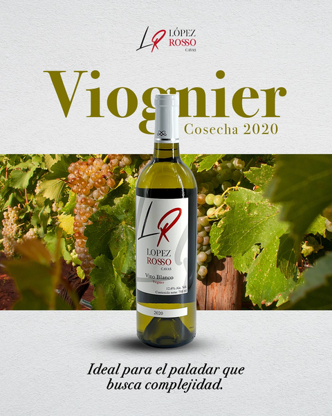 Cata y Maridaje: Vino Mexicano con Cocina Japonesa 🇲🇽🇯🇵