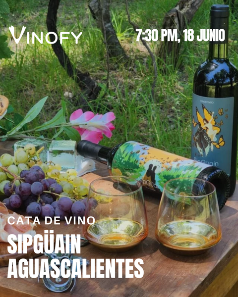 Cata de Vino: SipGüain, Aguascalientes