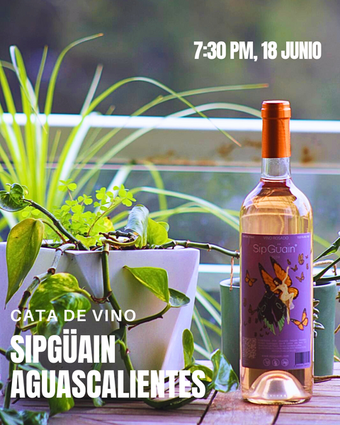 Cata de Vino: SipGüain, Aguascalientes