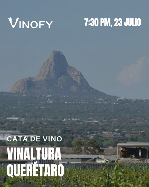 Cata de Vino: Vinaltura, Querétaro