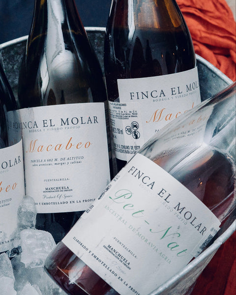 Finca El Molar: Descubre D.O. Manchuela