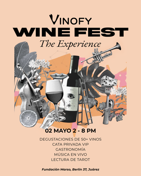 VINOFY WINE FEST: The Experience 2026