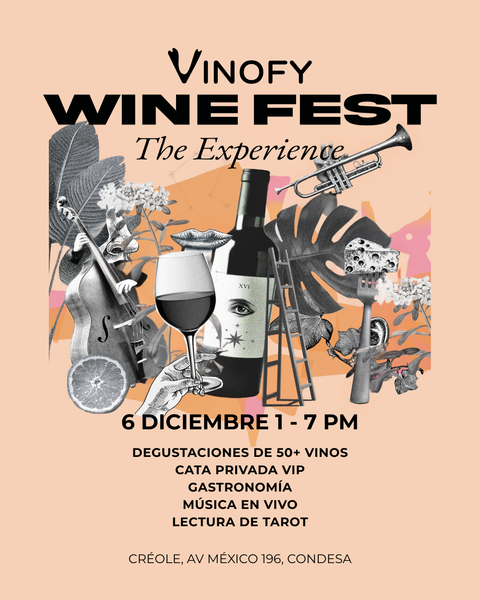 VINOFY WINE FEST: The Experience 2025
