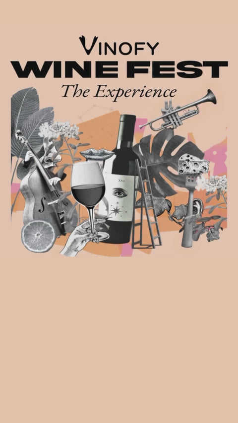 VINOFY WINE FEST: The Experience 2025