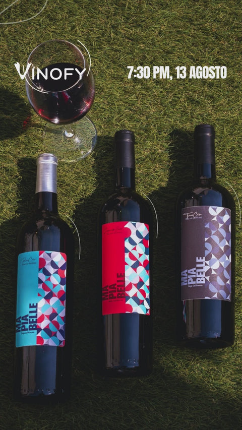Cata de Vino: Familia Mapiabelle, Valle de Guadalupe
