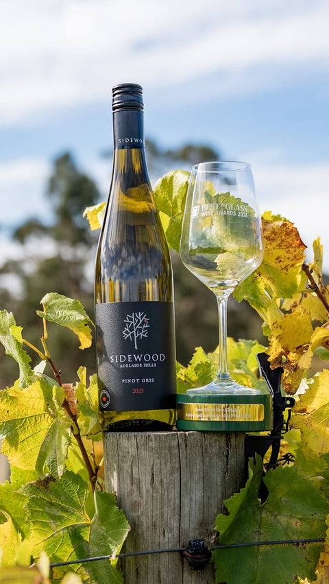 Sidewood Pinot Gris in the Adelaide Hills vineyard